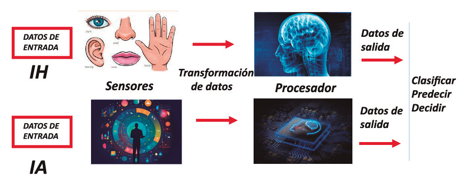 Figura 2