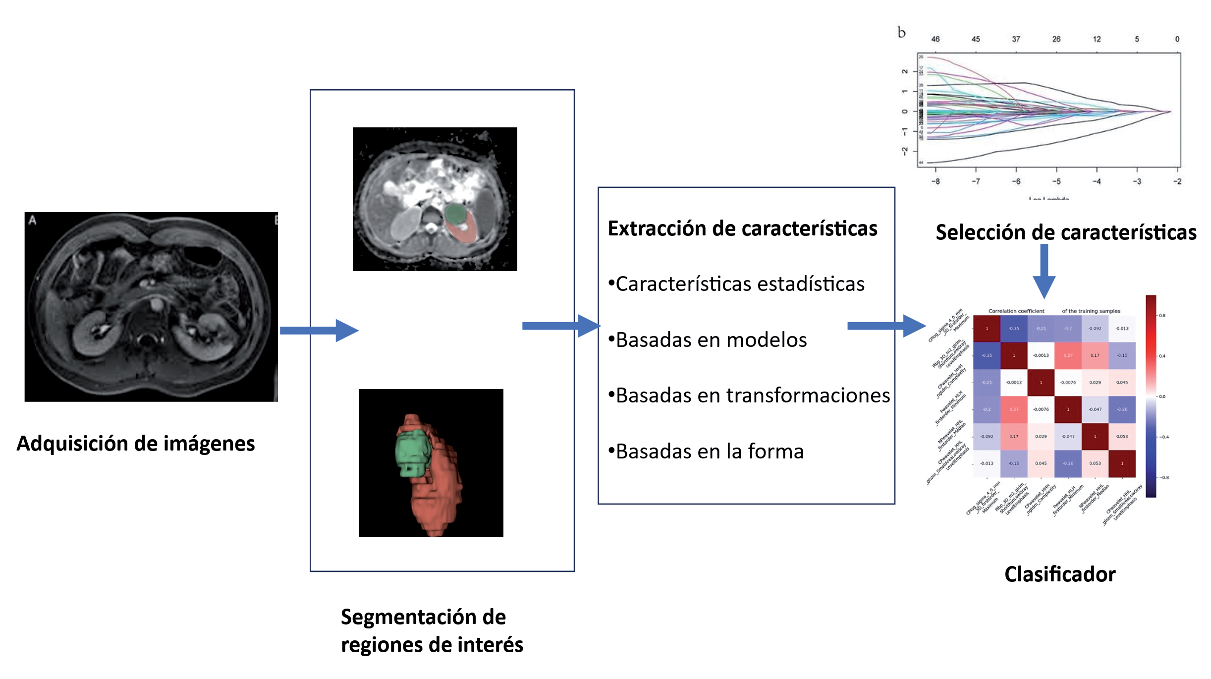 Figura 6