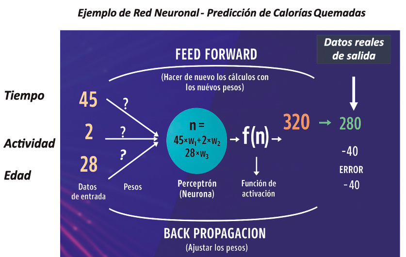 Figura 16