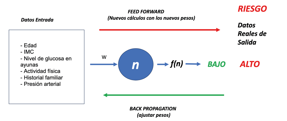Figura 19