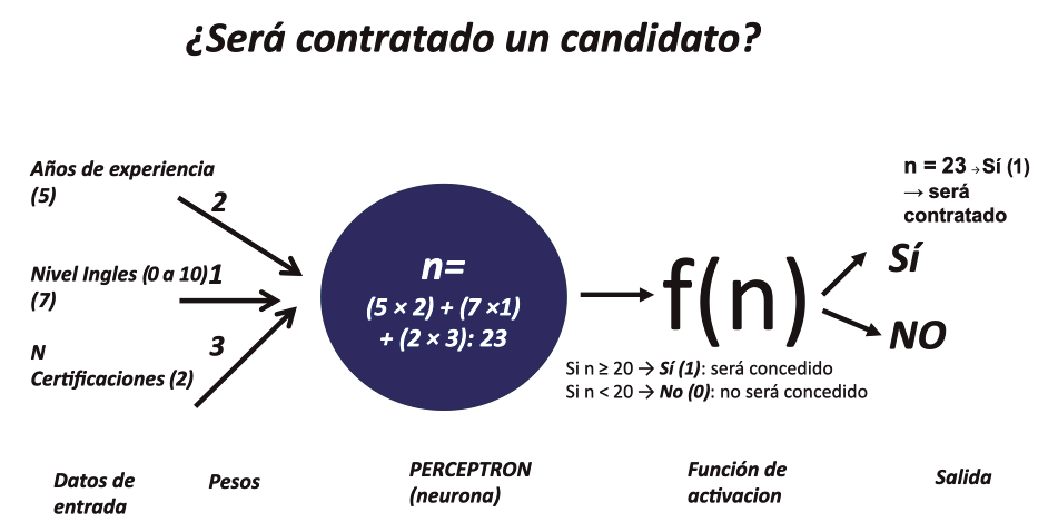 Figura 18