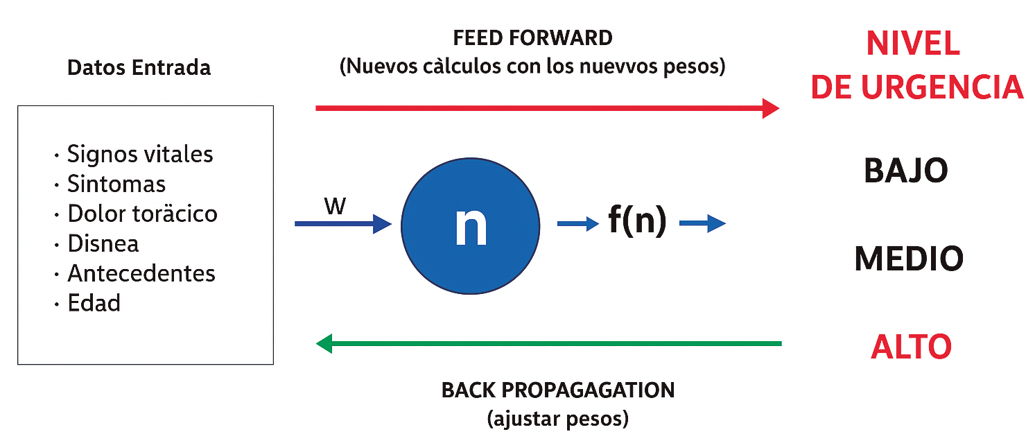 Figura 20