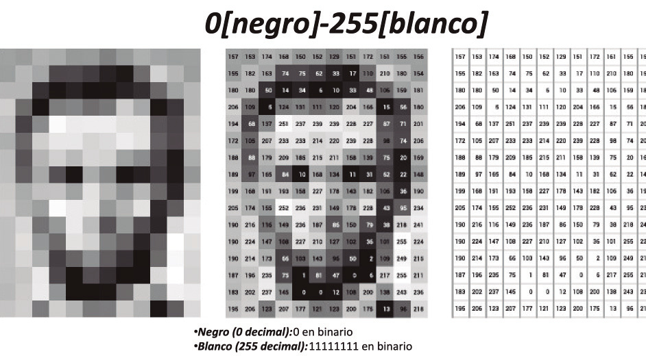 Figura 21