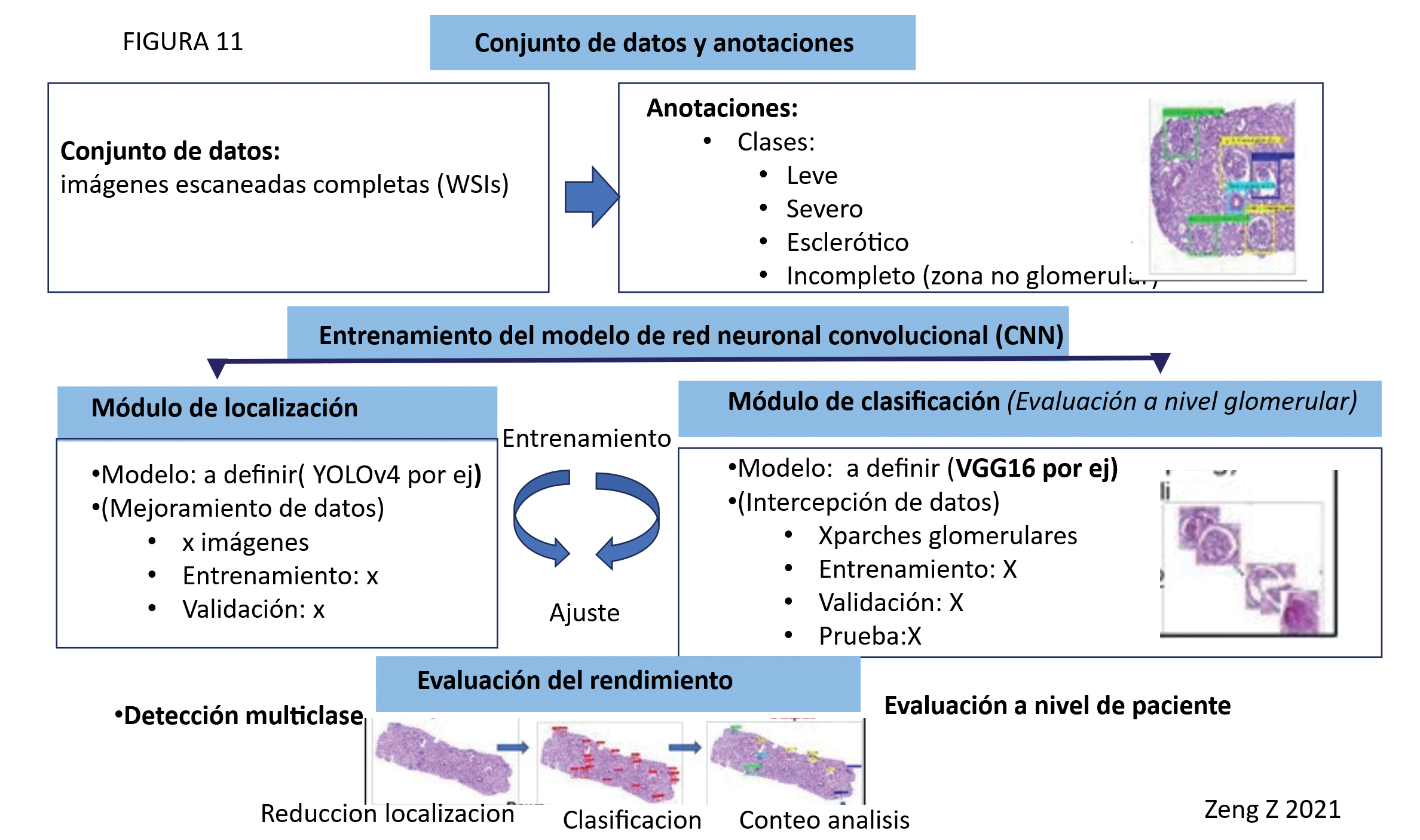 Figura 10