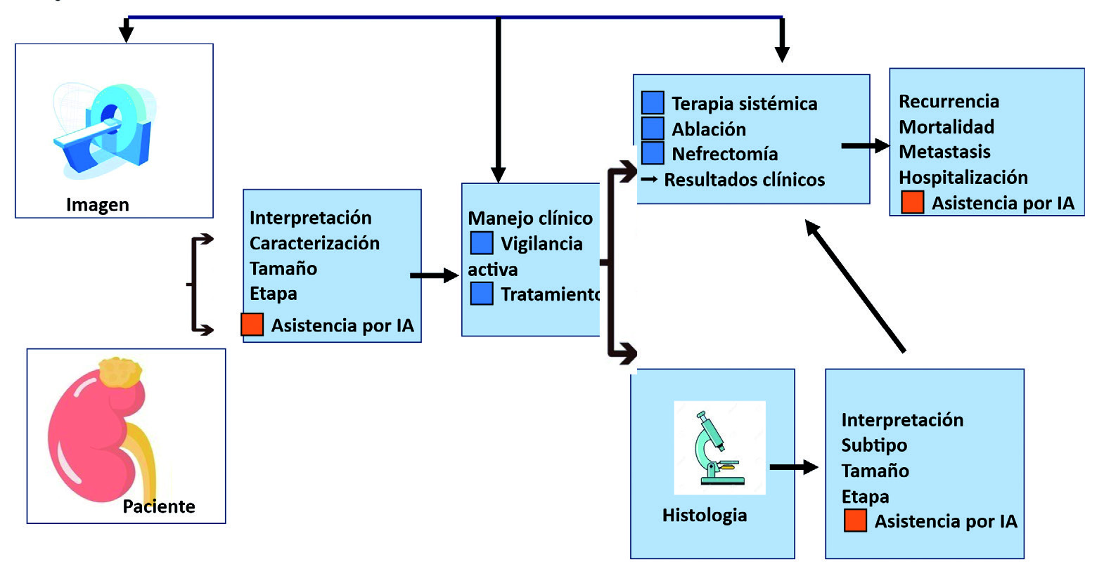 Figura 11